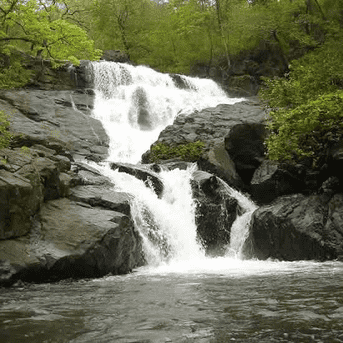 Tungareshwar Waterfalls